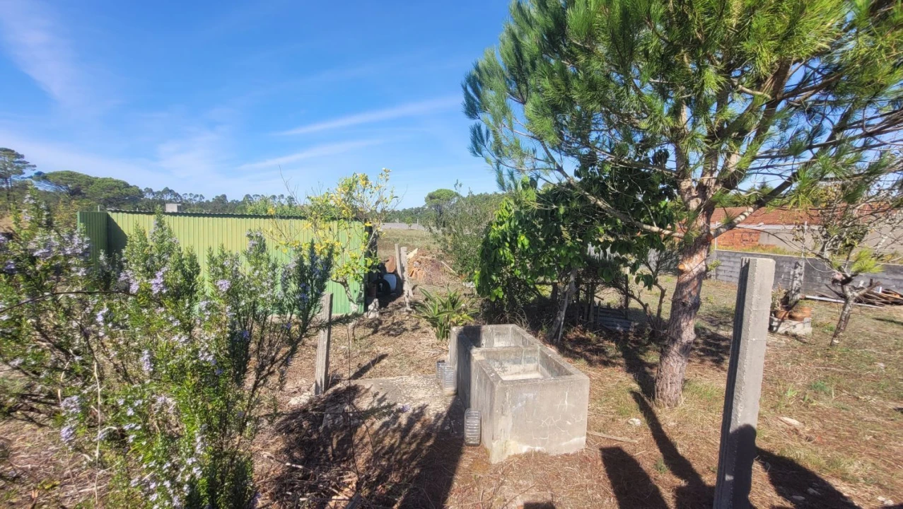 Terreno Agricola ou Rústico para Venda em Alhadas Foto 13