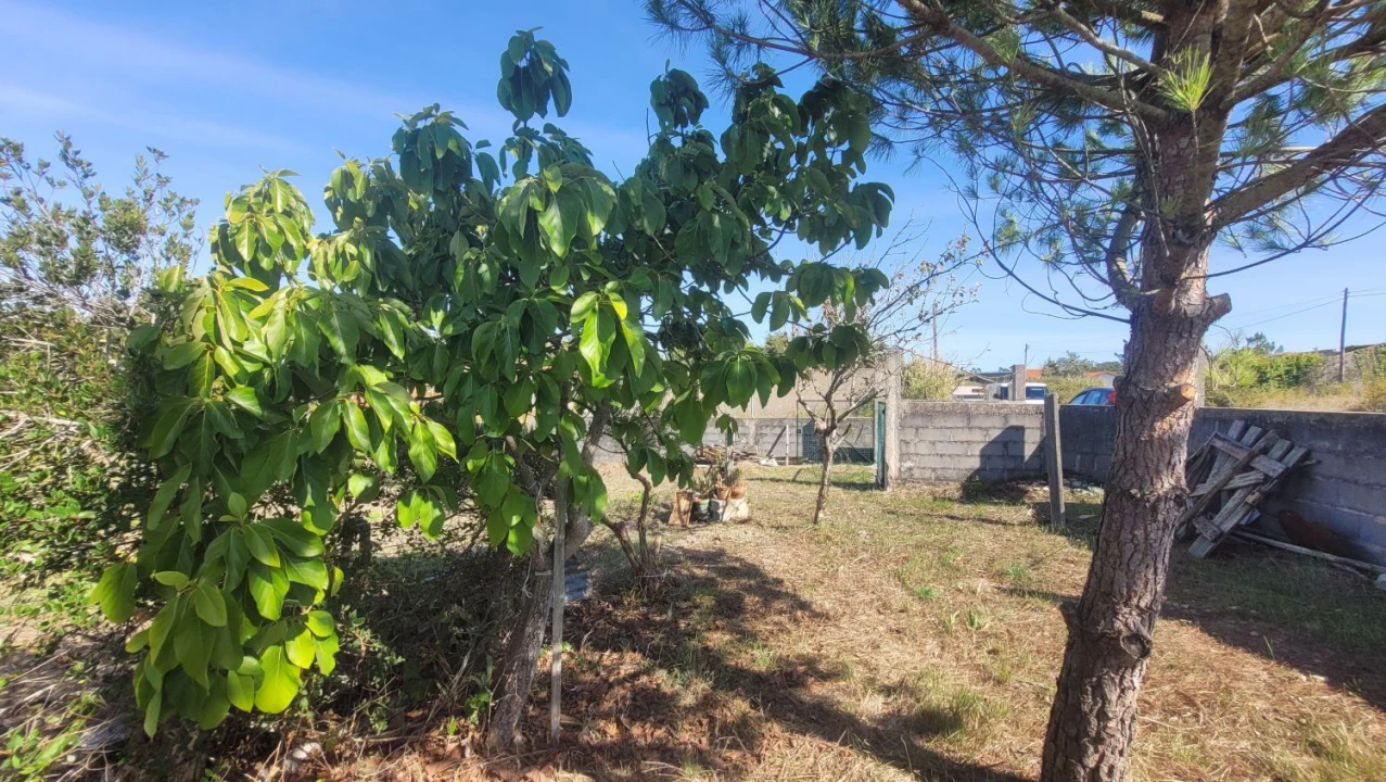 Terreno Agricola ou Rústico para Venda em Alhadas Foto 2