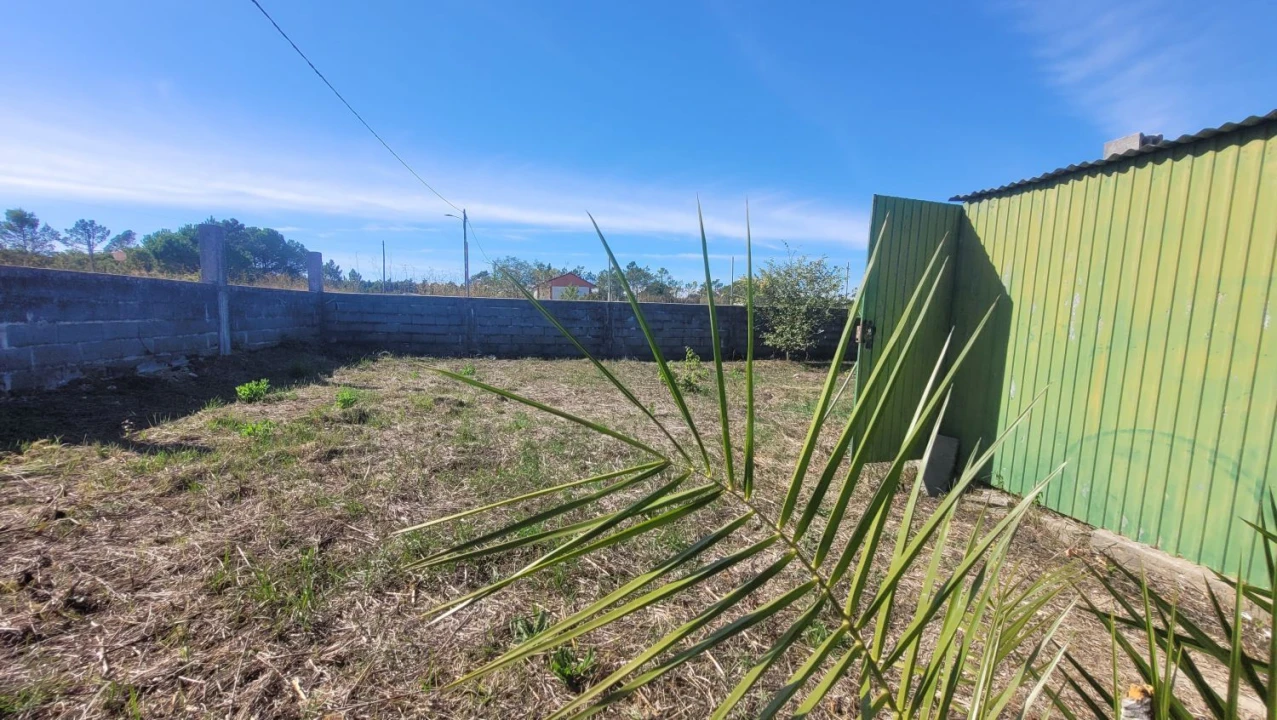 Terreno Agricola ou Rústico para Venda em Alhadas Foto 3