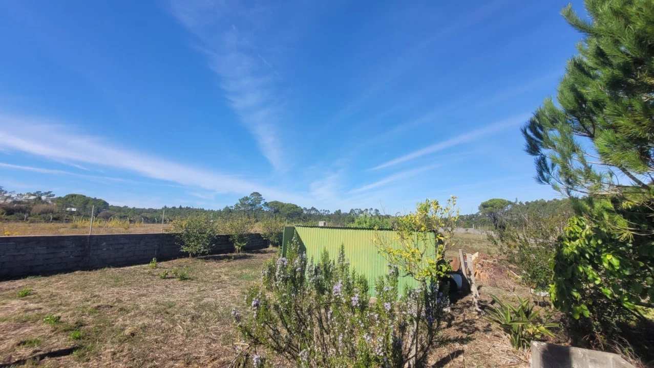 Terreno Agricola ou Rústico para Venda em Alhadas Foto 4