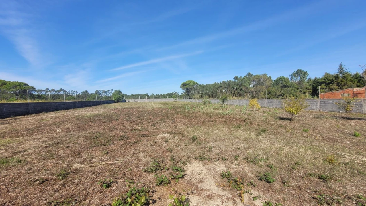 Terreno Agricola ou Rústico para Venda em Alhadas Foto 5