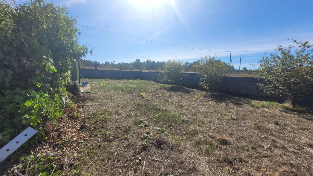 Terreno Agricola ou Rústico para Venda em Alhadas Foto 6