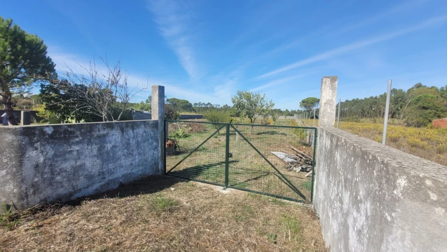 Terreno Agricola ou Rústico para Venda em Alhadas Foto 10