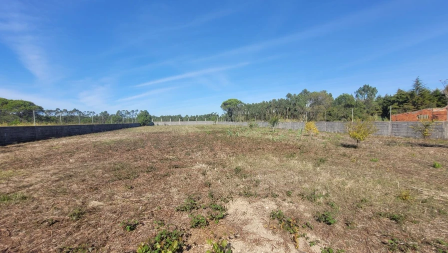 Terreno Agricola ou Rústico para Venda em Alhadas Foto 5