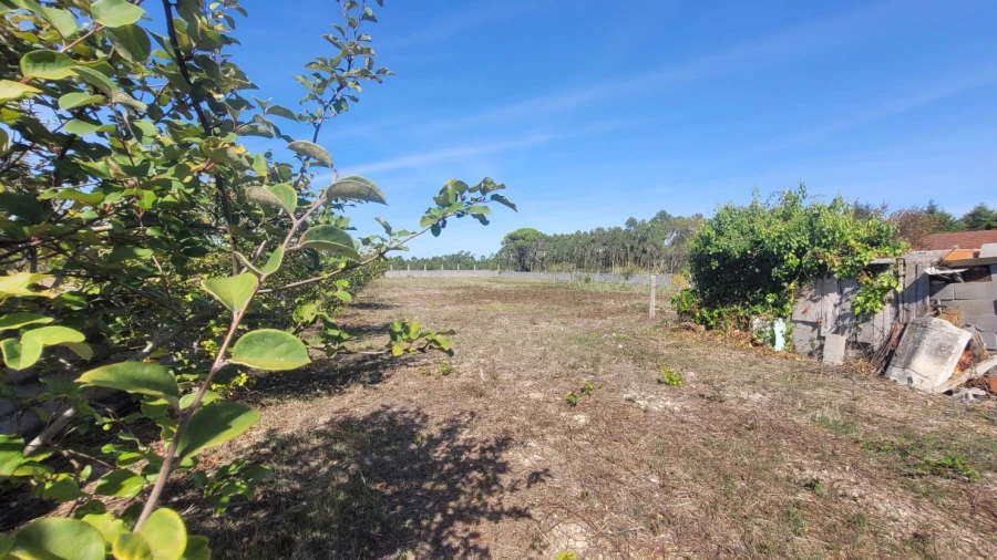 Terreno Agricola ou Rústico para Venda em Alhadas