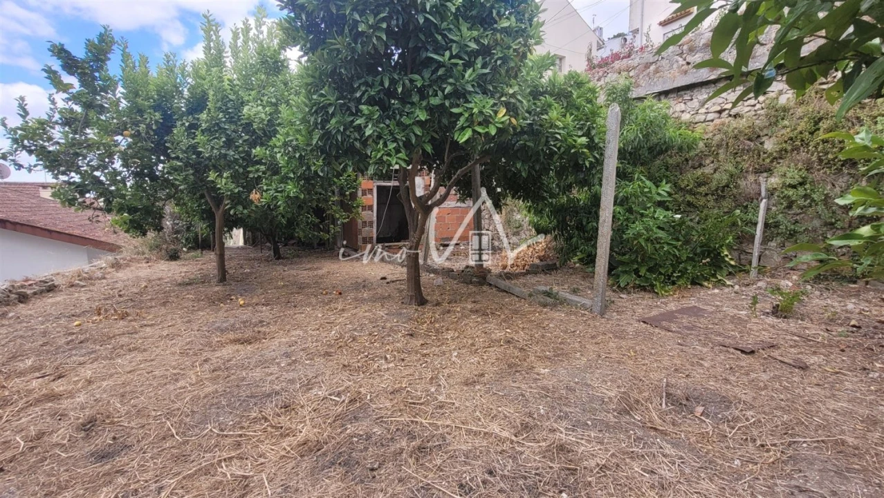 Terreno Agricola ou Rústico para Venda em Montemor-O-Velho e Gatões Foto 6