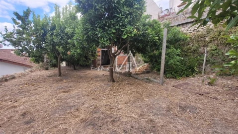 Terreno Agricola ou Rústico para Venda em Montemor-O-Velho e Gatões