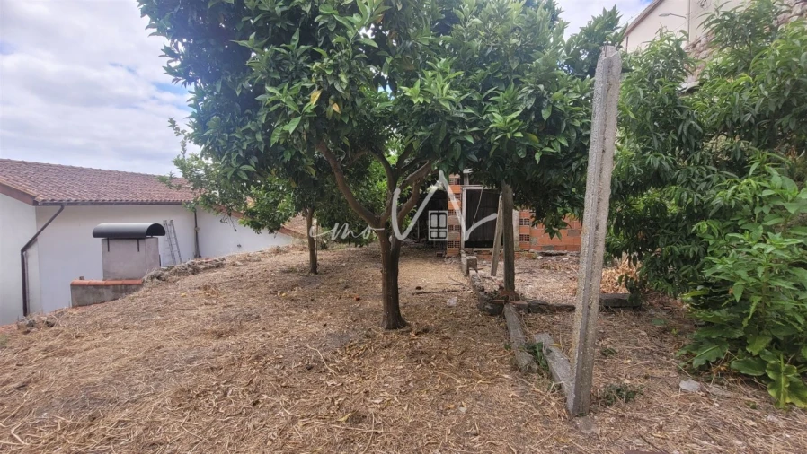 Terreno Agricola ou Rústico para Venda em Montemor-O-Velho e Gatões Foto 2