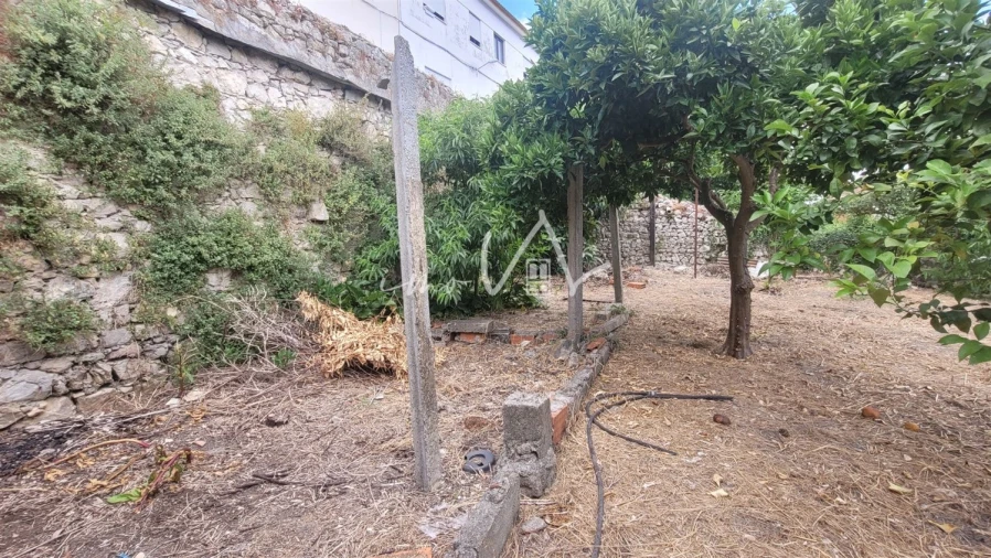 Terreno Agricola ou Rústico para Venda em Montemor-O-Velho e Gatões Foto 4