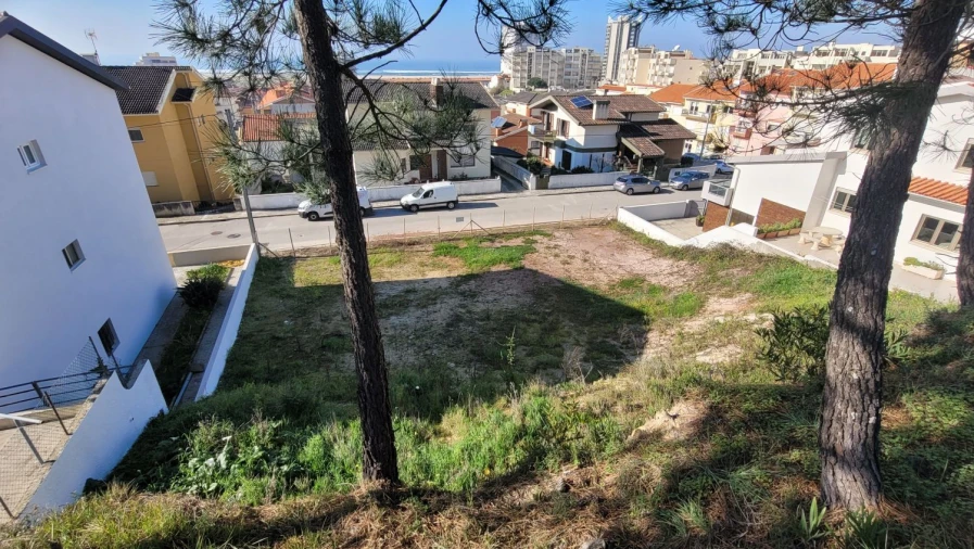 Terreno Agricola ou Rústico para Venda em Buarcos Foto 2