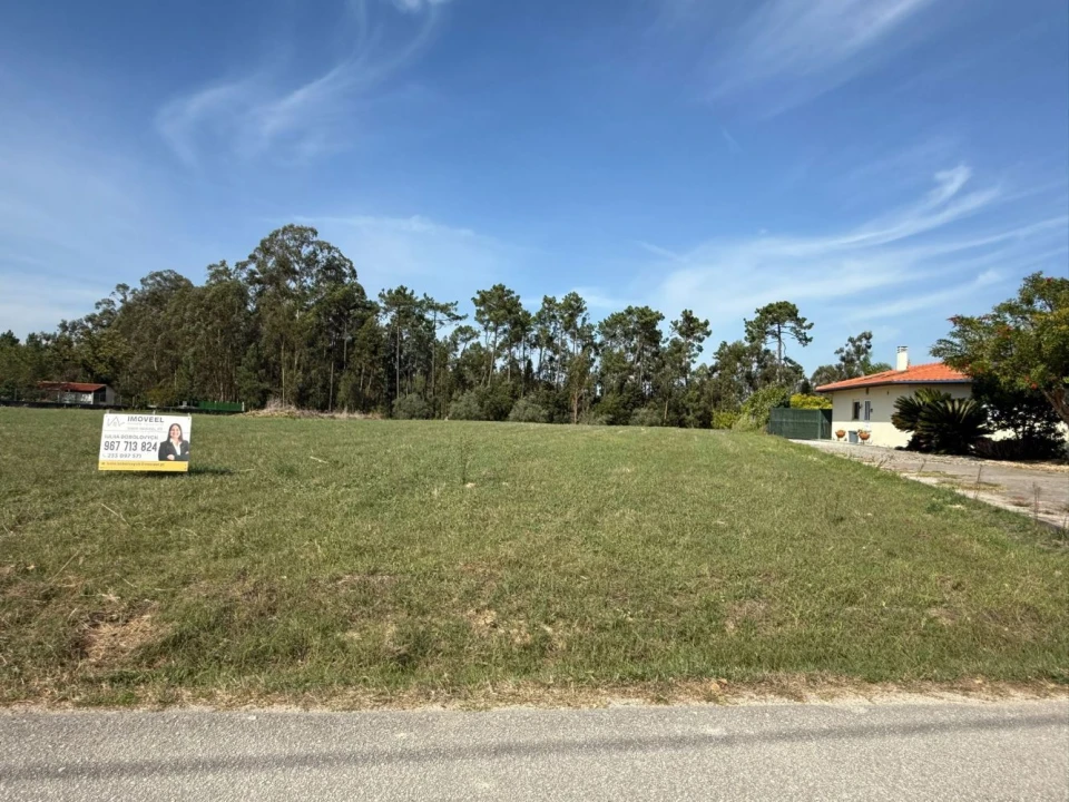 Terreno Agricola ou Rústico para Venda em Louriçal Foto 1