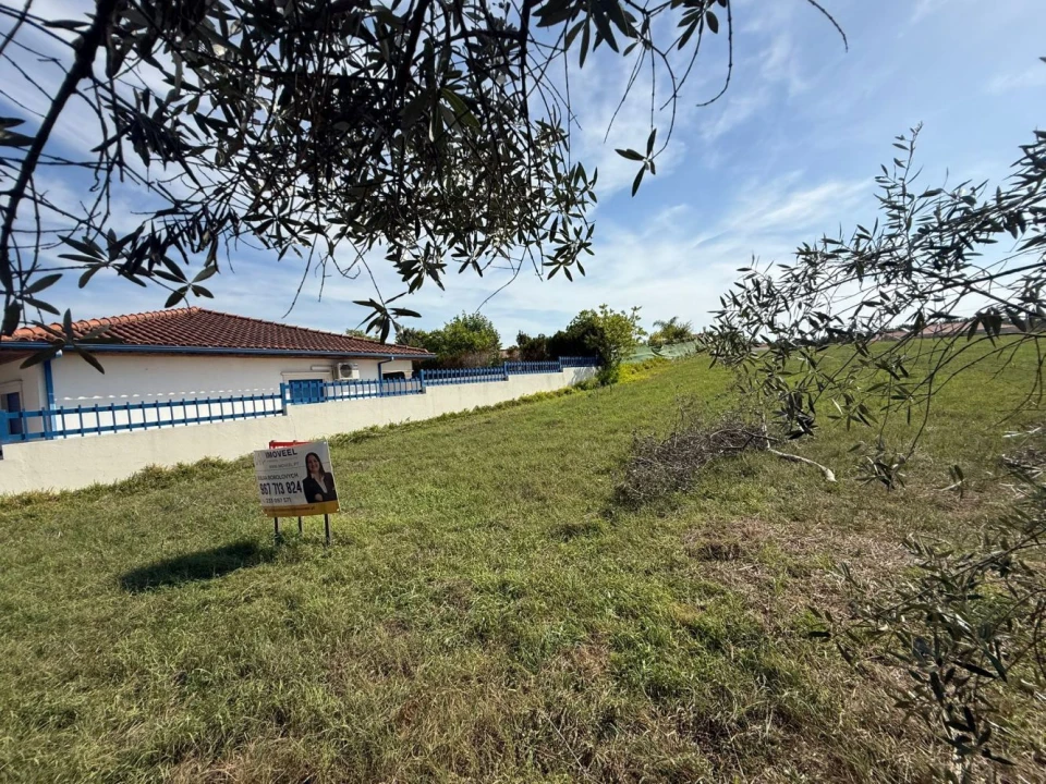 Terreno Agricola ou Rústico para Venda em Louriçal Foto 6