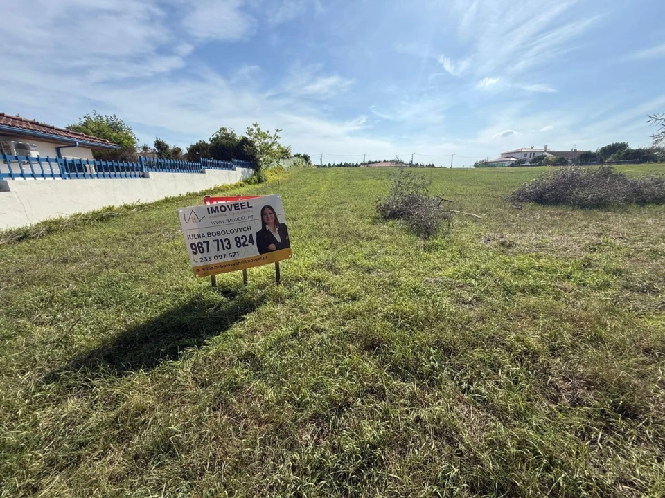 Terreno Agricola ou Rústico para Venda em Louriçal Foto 7