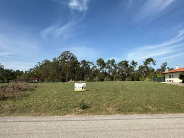 Terreno Agricola ou Rústico para Venda em Louriçal