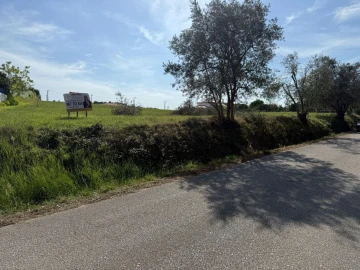 Terreno Agricola ou Rústico para Venda em Louriçal