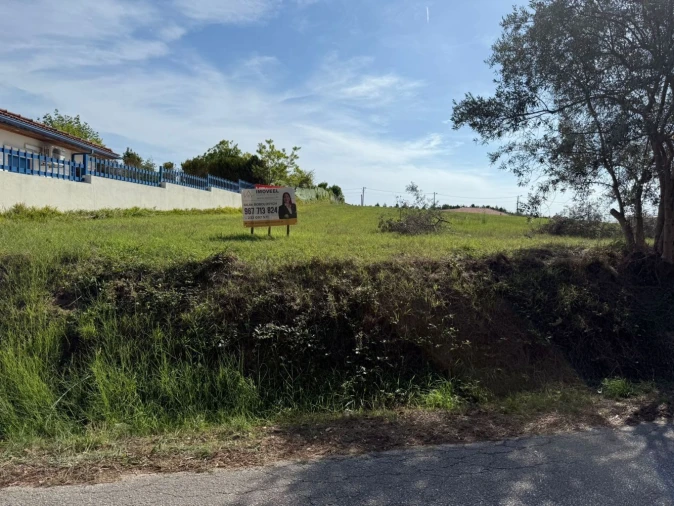 Terreno Agricola ou Rústico para Venda em Louriçal Foto 10