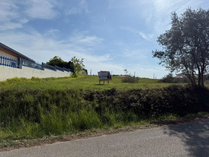 Terreno Agricola ou Rústico para Venda em Louriçal Foto 11