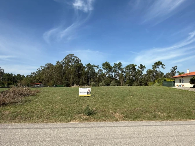 Terreno Agricola ou Rústico para Venda em Louriçal Foto 2