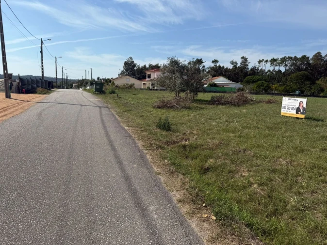 Terreno Agricola ou Rústico para Venda em Louriçal Foto 3