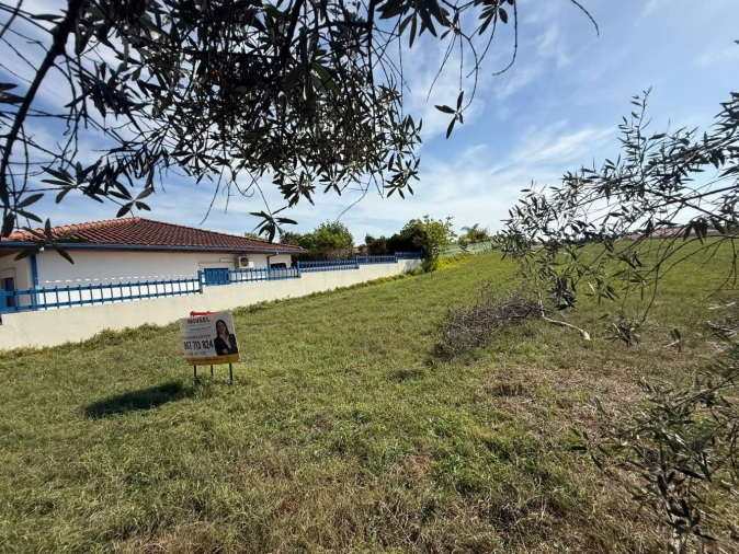 Terreno Agricola ou Rústico para Venda em Louriçal Foto 6
