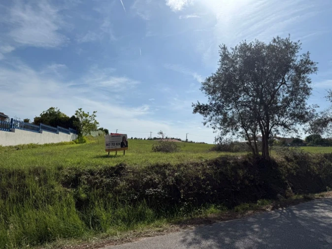 Terreno Agricola ou Rústico para Venda em Louriçal Foto 8