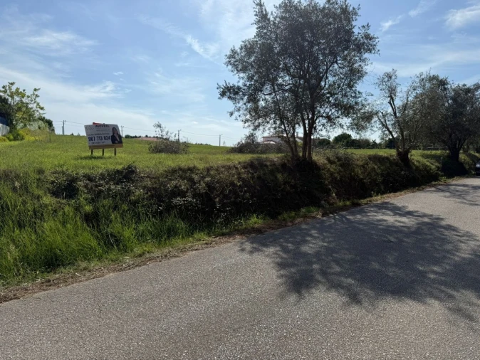 Terreno Agricola ou Rústico para Venda em Louriçal Foto 9