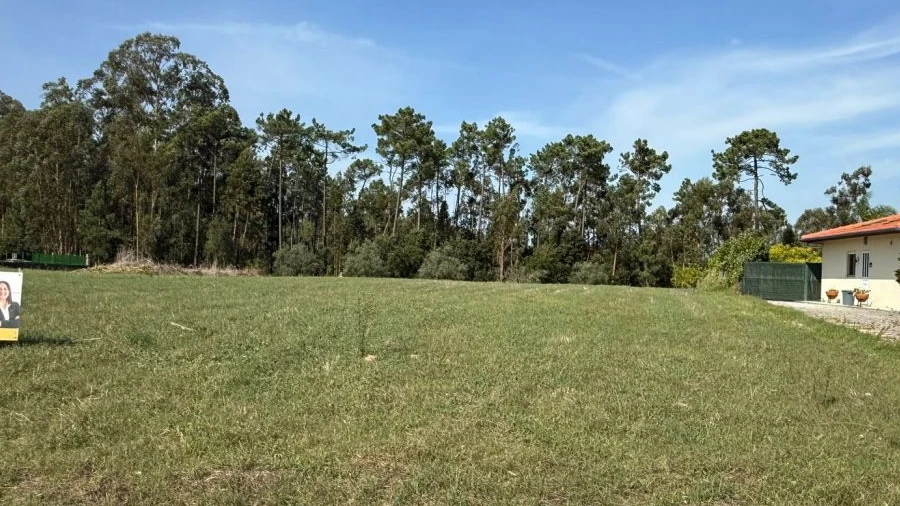 Terreno Agricola ou Rústico para Venda em Louriçal