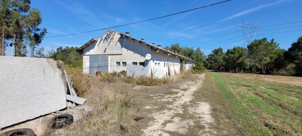 Armazém para Venda em Alhadas