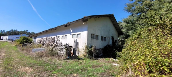 Armazém para Venda em Alhadas