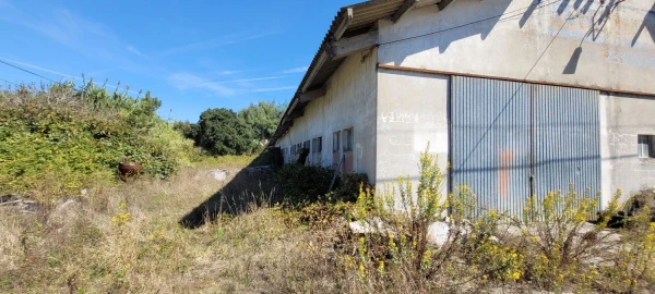 Armazém para Venda em Alhadas