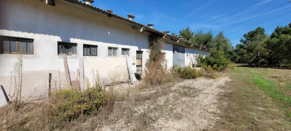 Armazém para Venda em Alhadas