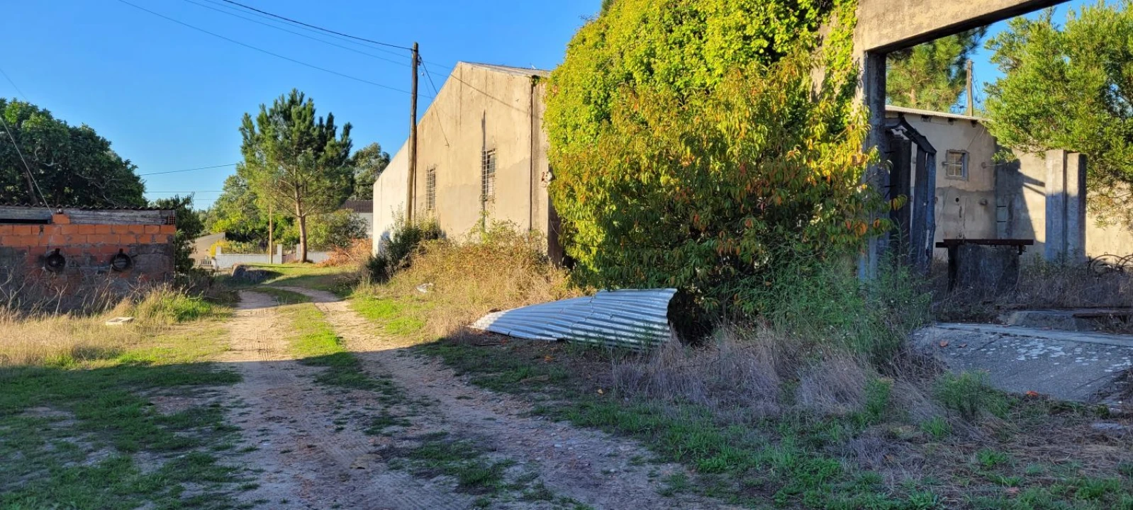 Armazém para Venda em Alhadas Foto 3