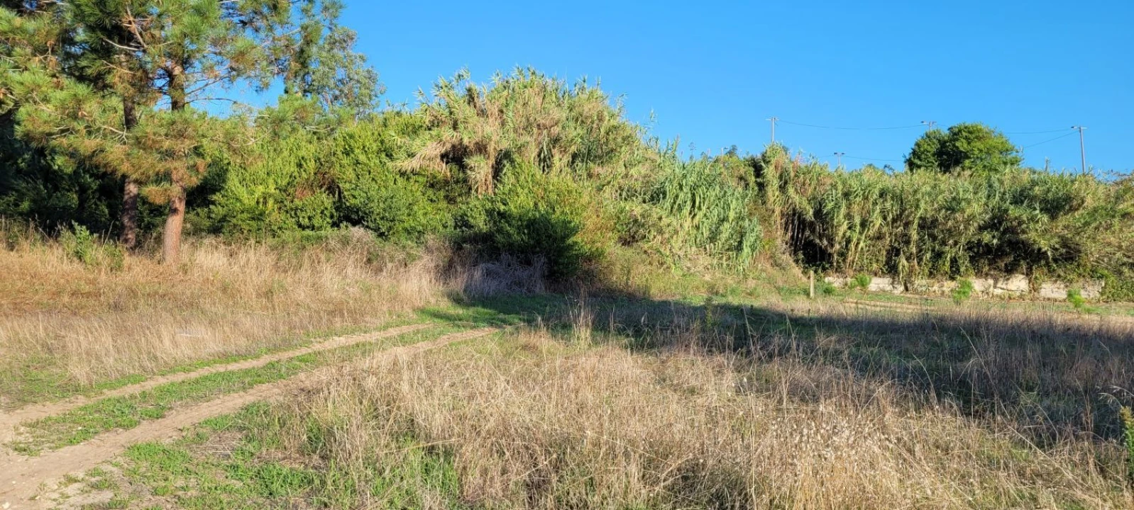 Armazém para Venda em Alhadas Foto 8