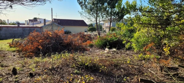 Armazém para Venda em Alhadas