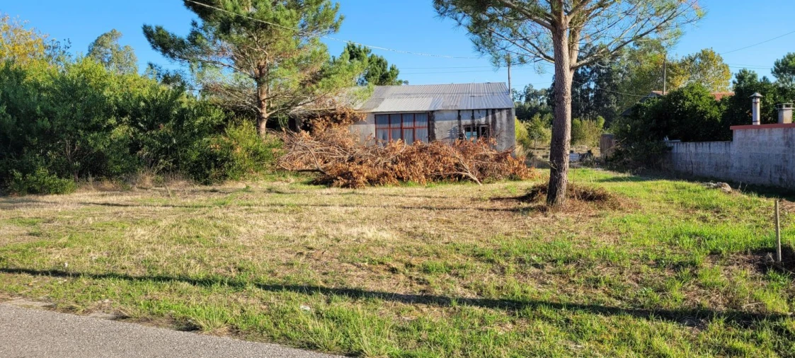 Armazém para Venda em Alhadas