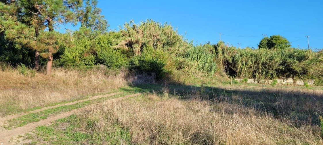 Armazém para Venda em Alhadas Foto 8