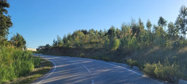 Terreno Agricola ou Rústico para Venda em Tavarede