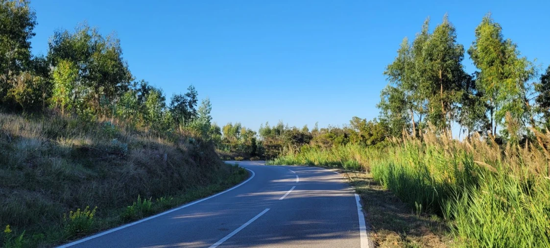 Terreno Agricola ou Rústico para Venda em Tavarede Foto 3
