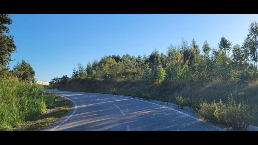 Terreno Agricola ou Rústico para Venda em Tavarede