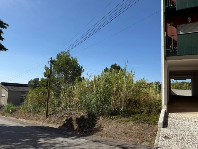 Terreno Agricola ou Rústico para Venda em Buarcos Foto 2
