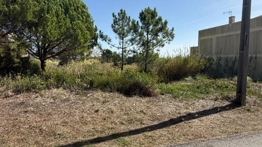 Terreno Agricola ou Rústico para Venda em Buarcos