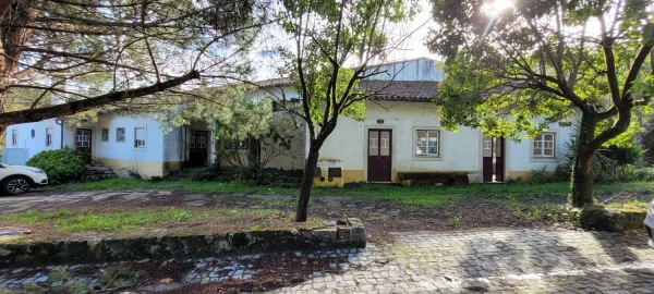 Negócio para Venda em Aguda