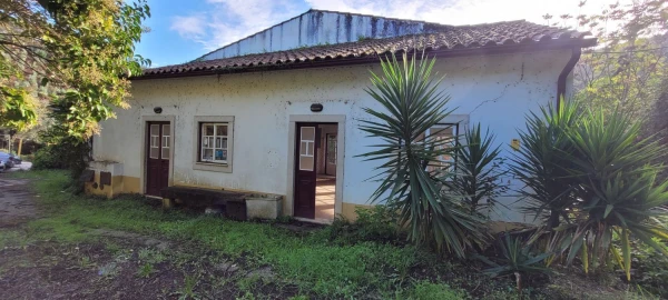 Negócio para Venda em Aguda