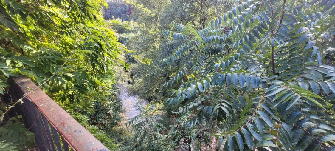 Negócio para Venda em Aguda Foto 5
