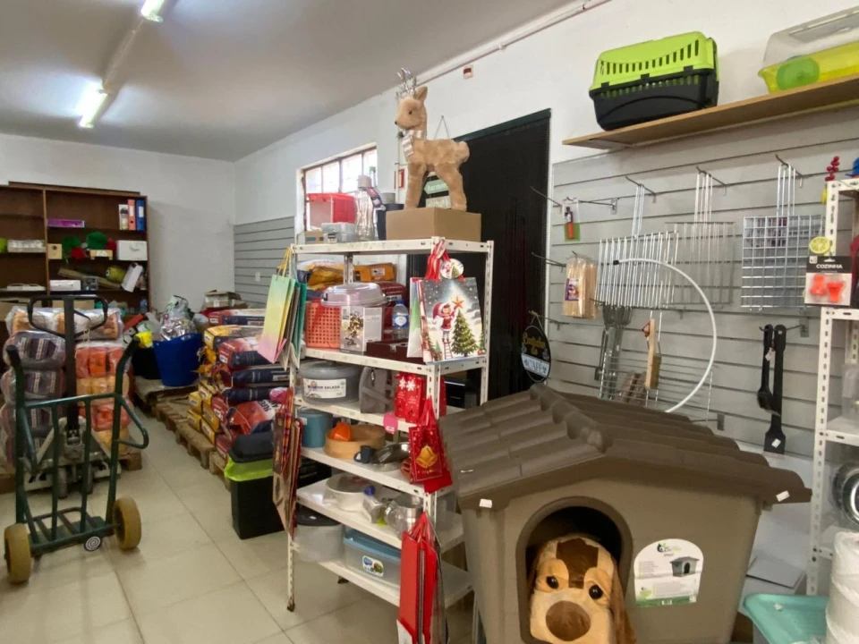 Negócio para Arrendamento em Sé Nova, Santa Cruz, Almedina e São Bartolomeu Foto 10