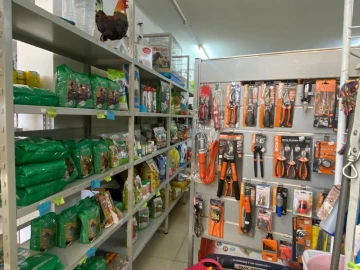 Negócio para Arrendamento em Sé Nova, Santa Cruz, Almedina e São Bartolomeu