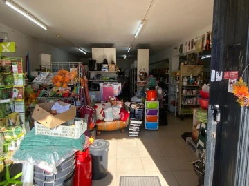 Negócio para Arrendamento em Sé Nova, Santa Cruz, Almedina e São Bartolomeu
