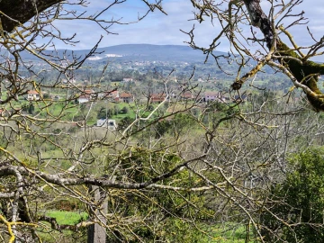 Moradia T3 para Venda em Pombal