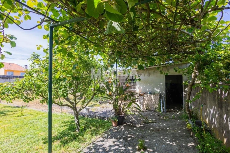 Moradia T4 para Venda em Cacia Foto 37