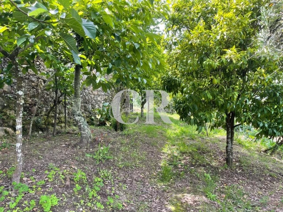 Moradia T3 para Venda em Serpins Foto 25